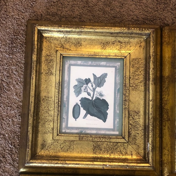 Pictures - Picture 4 of 5